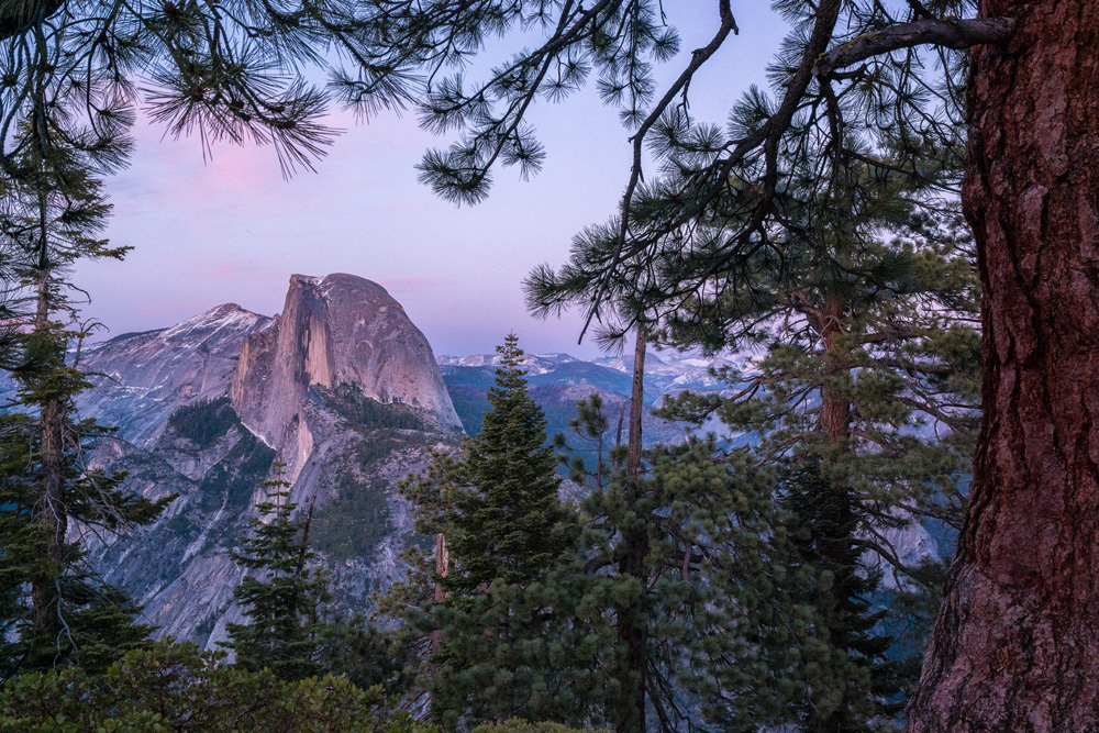 Wasim Muklashy Photography_April 2015_Yosemite_California_Samsung NX1_ SAM_8379_1800px