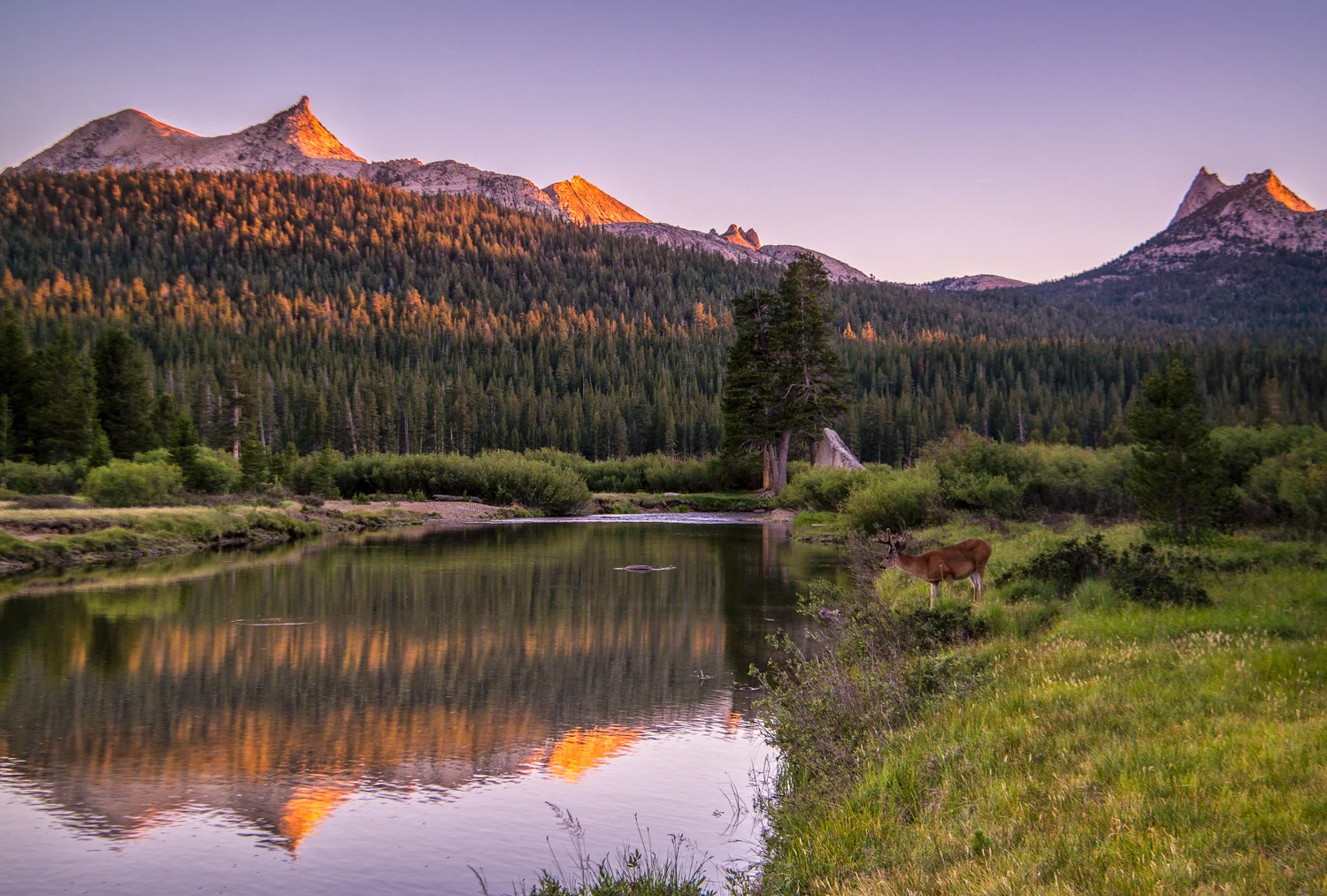 Wasim Muklashy Photography_Tuolume Meadows_Yosemite National Park_California_Samsung NX30