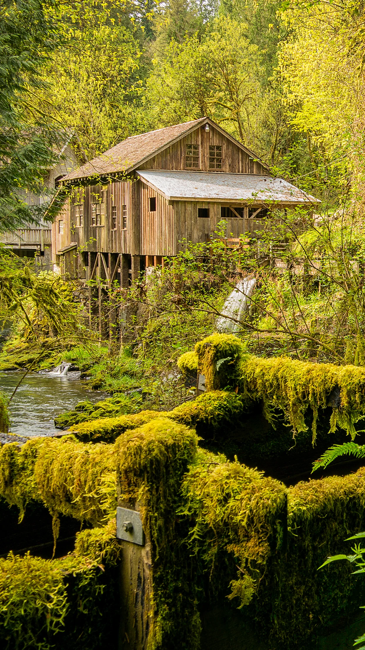 Wasim Muklashy Photography_Cedar Creek Grist Mill_Washington_iPhone6Plus