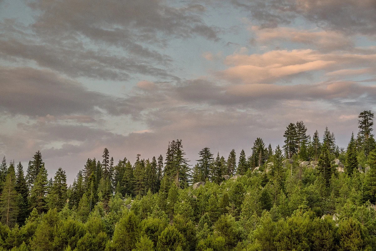 Far Meadow Yosemite California