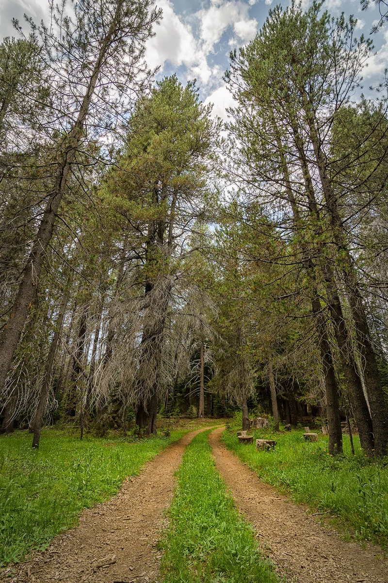 Far Meadow Yosemite California