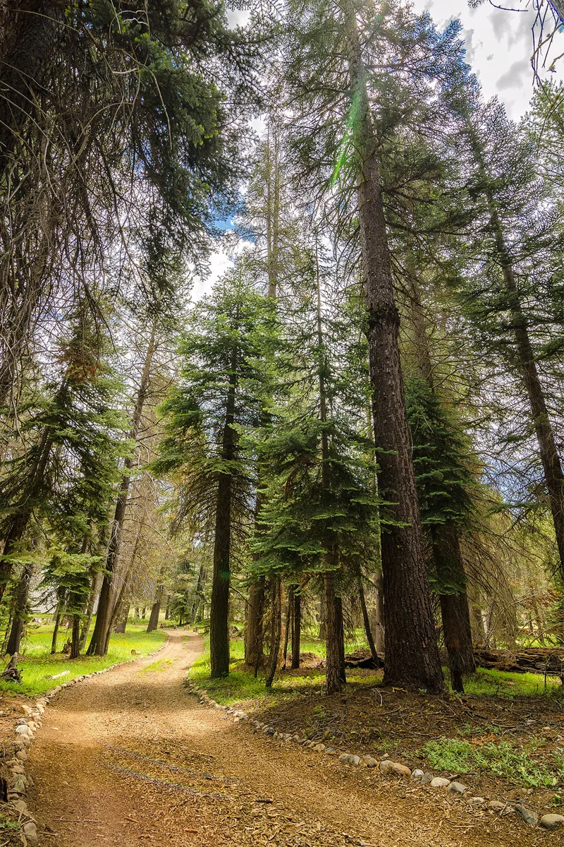 Far Meadow Yosemite California