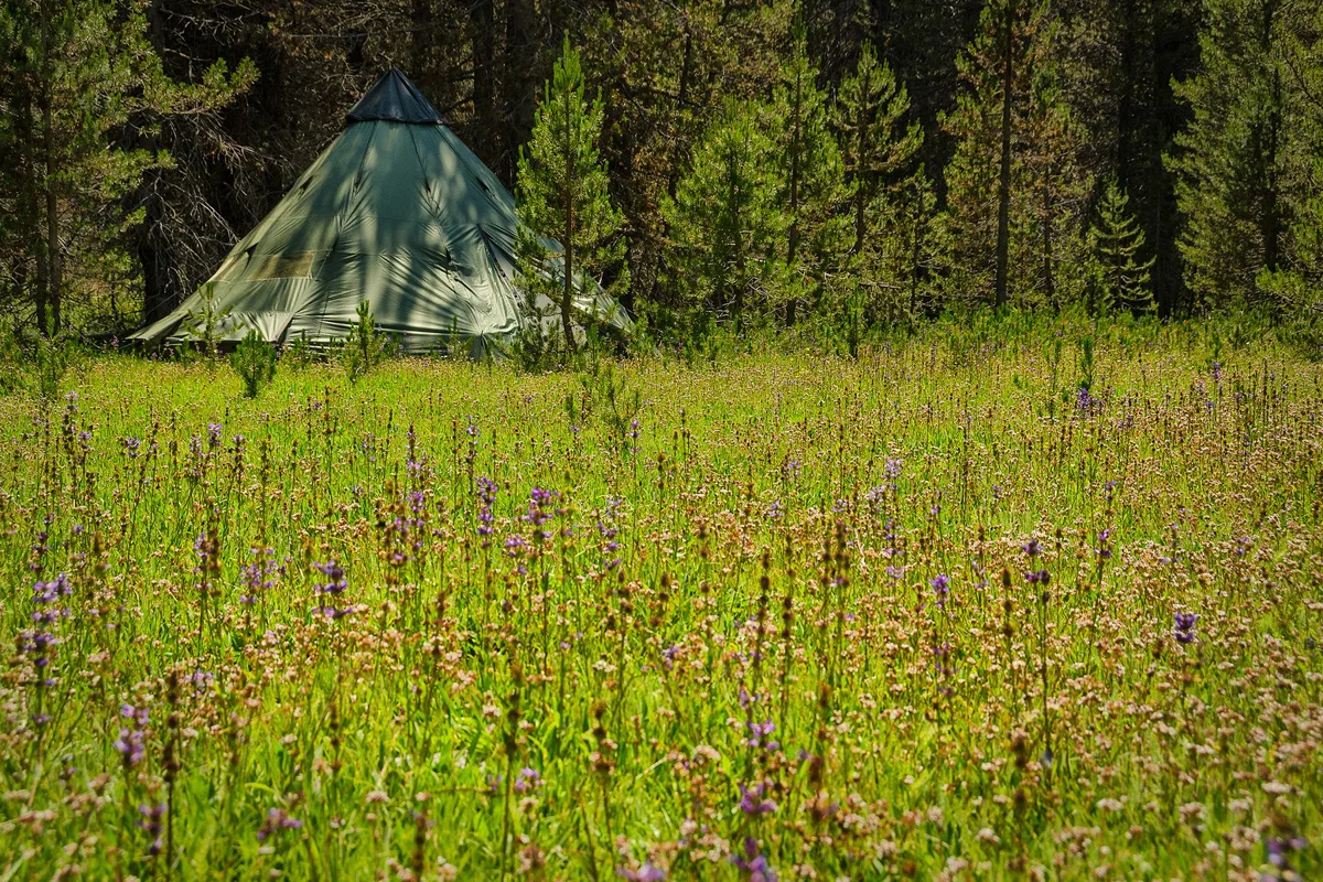 Far Meadow Yosemite California