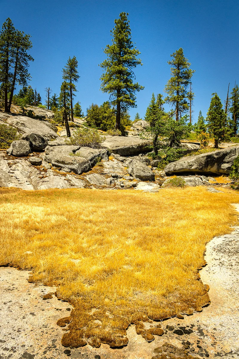 Far Meadow Yosemite California