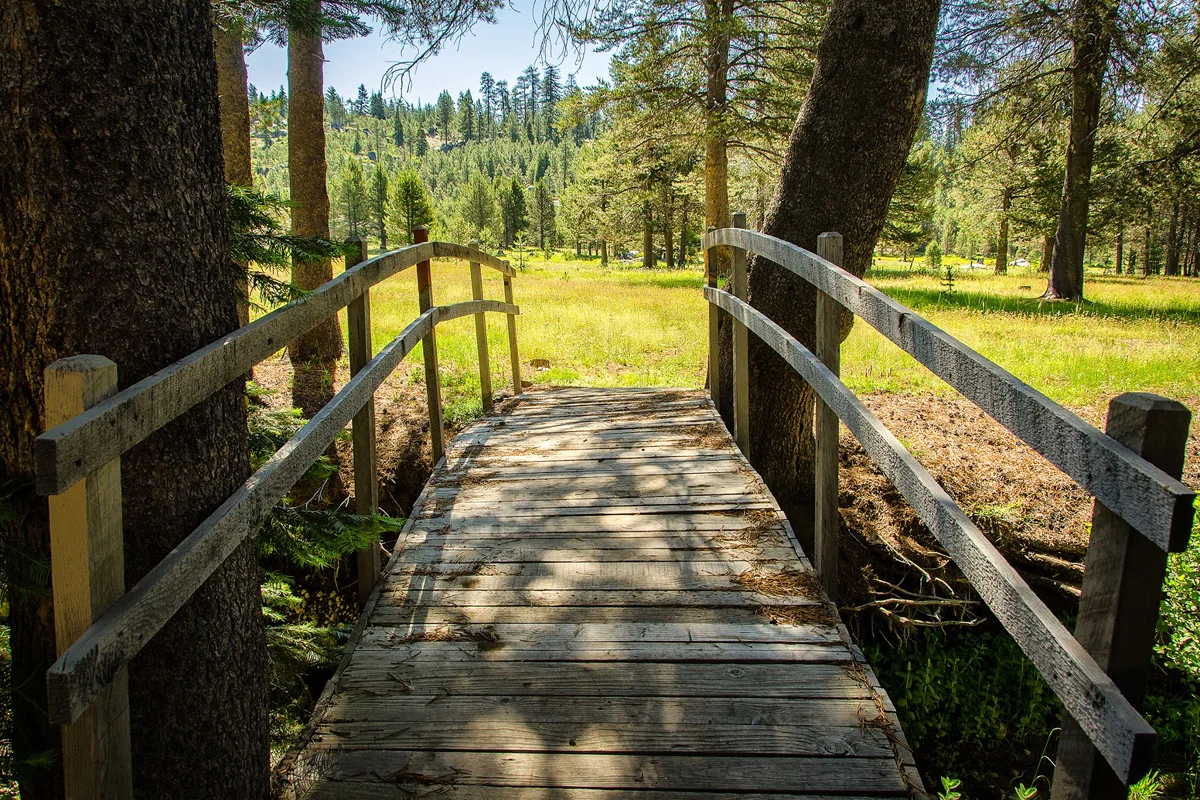 Far Meadow Yosemite California