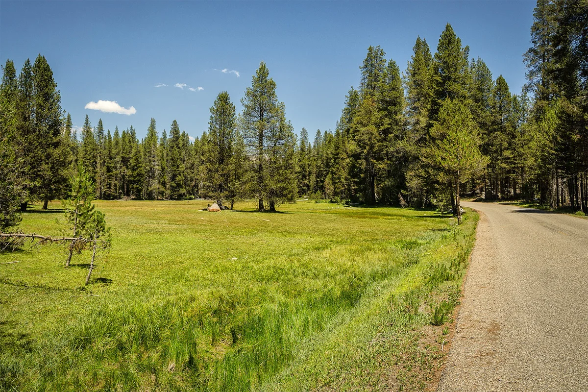 Far Meadow Yosemite California