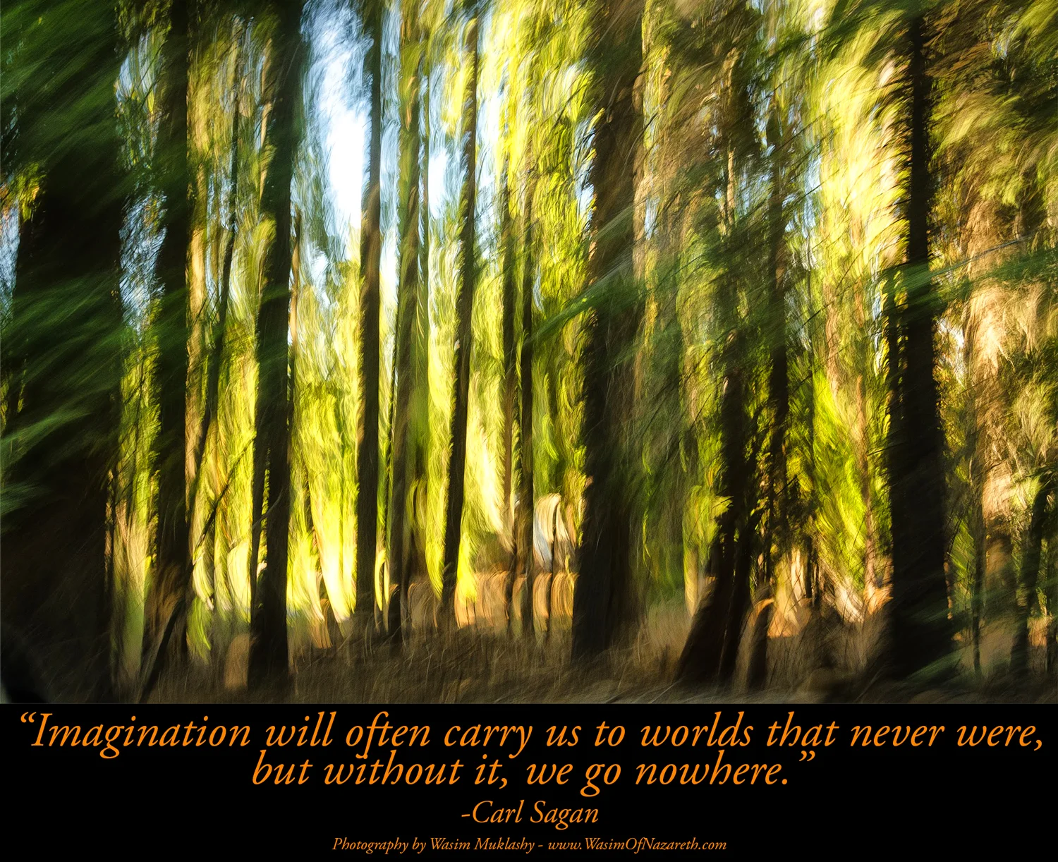 Wasim-Muklashy-Photography_Monday-Motivational_082514
