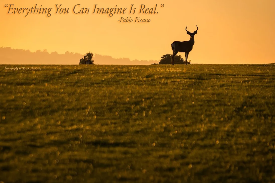 Wasim-Muklashy-Photography_Monday-Motivational_September-29_v2