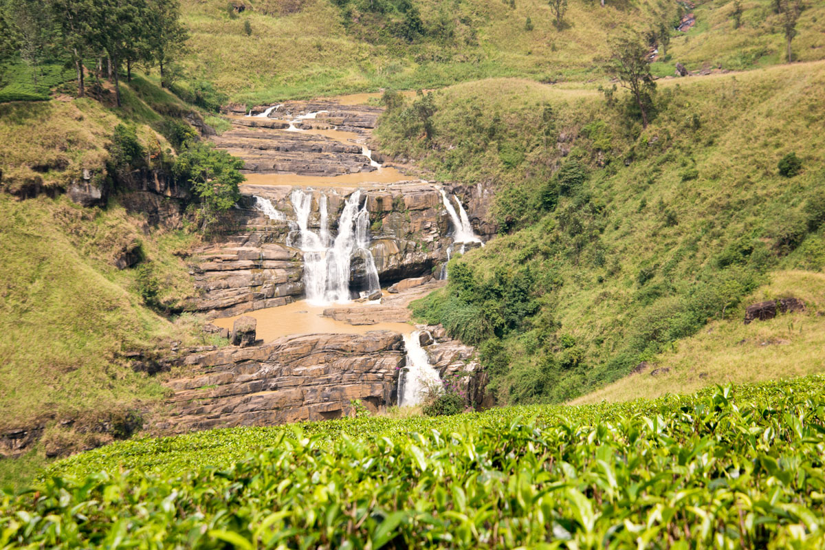 Wasim Muklashy Photography_Nuwara Eliya_Sri Lanka_February 2015_Samsung NX1_18-200mm_06