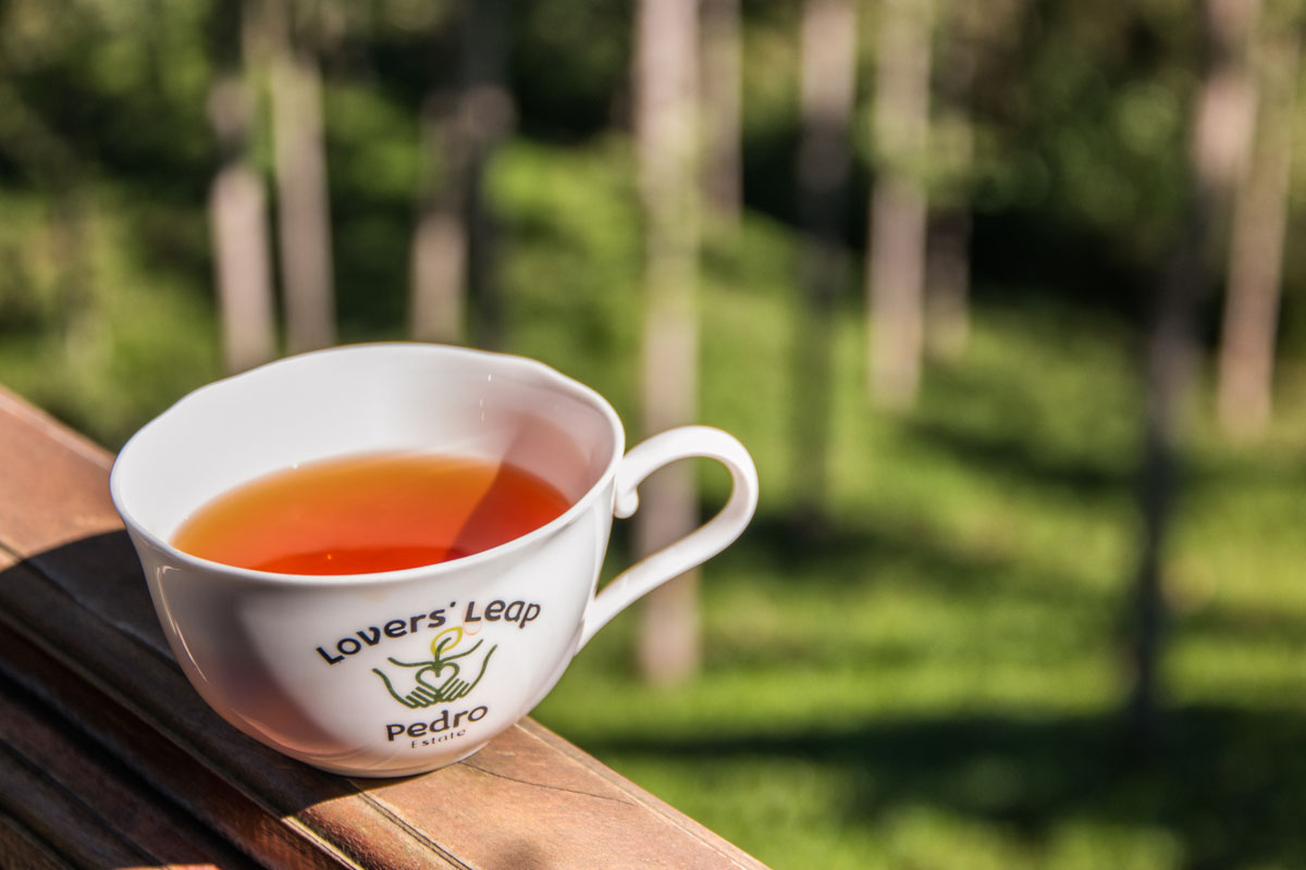 Wasim Muklashy Photography_Nuwara Eliya_Sri Lanka_February 2015_Samsung NX1_18-200mm_28