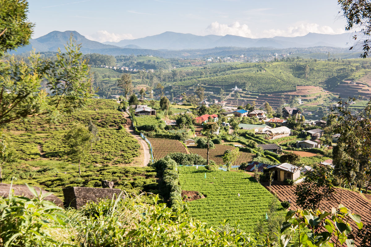 Wasim Muklashy Photography_Nuwara Eliya_Sri Lanka_February 2015_Samsung NX1_18-200mm_35