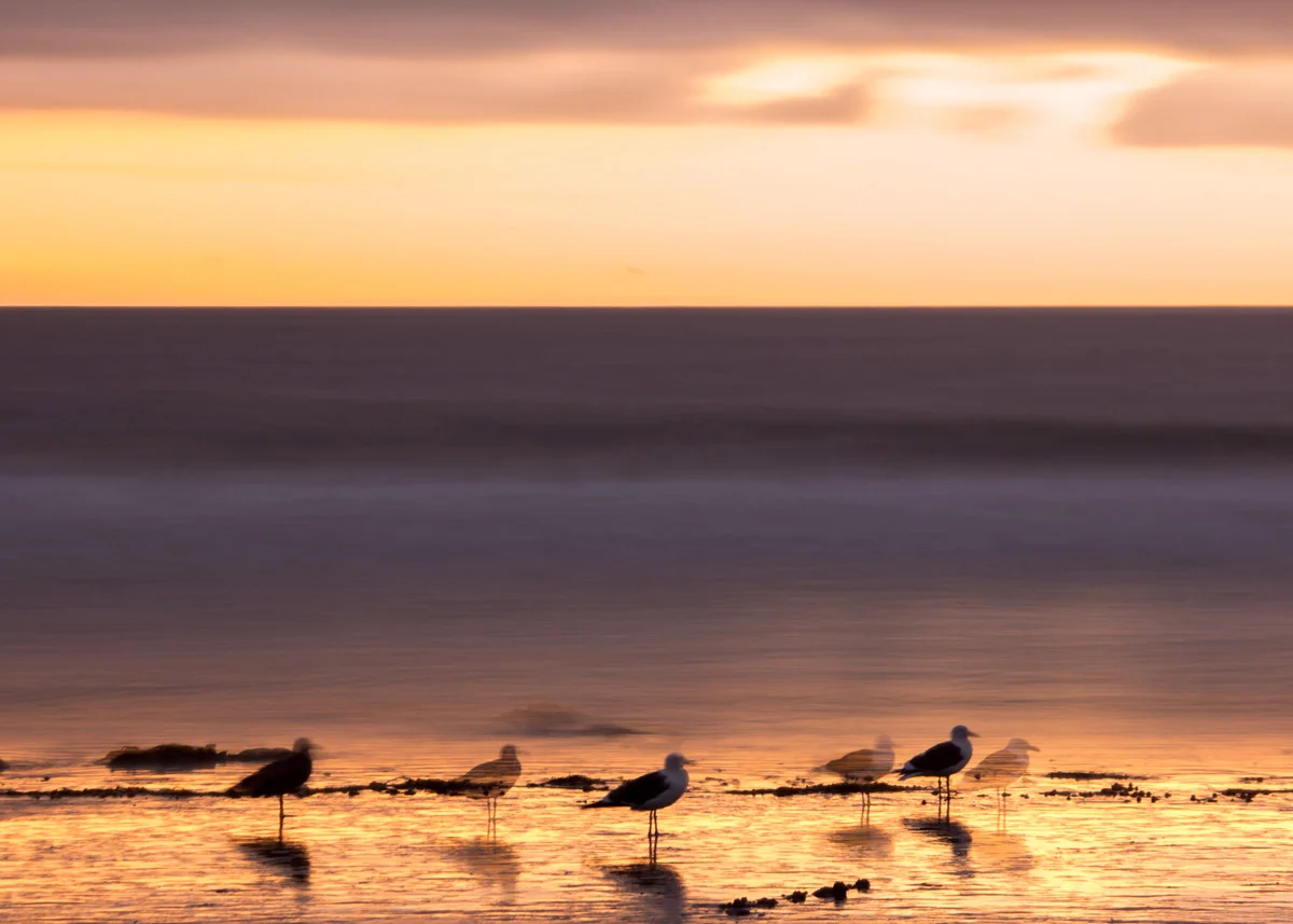 Samsung NX1 200mm Malibu California 1800px
