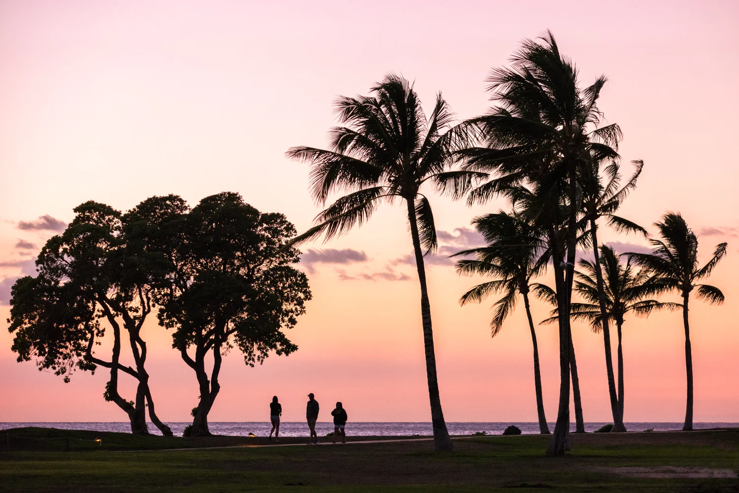 Wasim Muklashy Photography_Samsung NX500_16-50mm S_Hawaii_031415_ SAM_0608_1500px