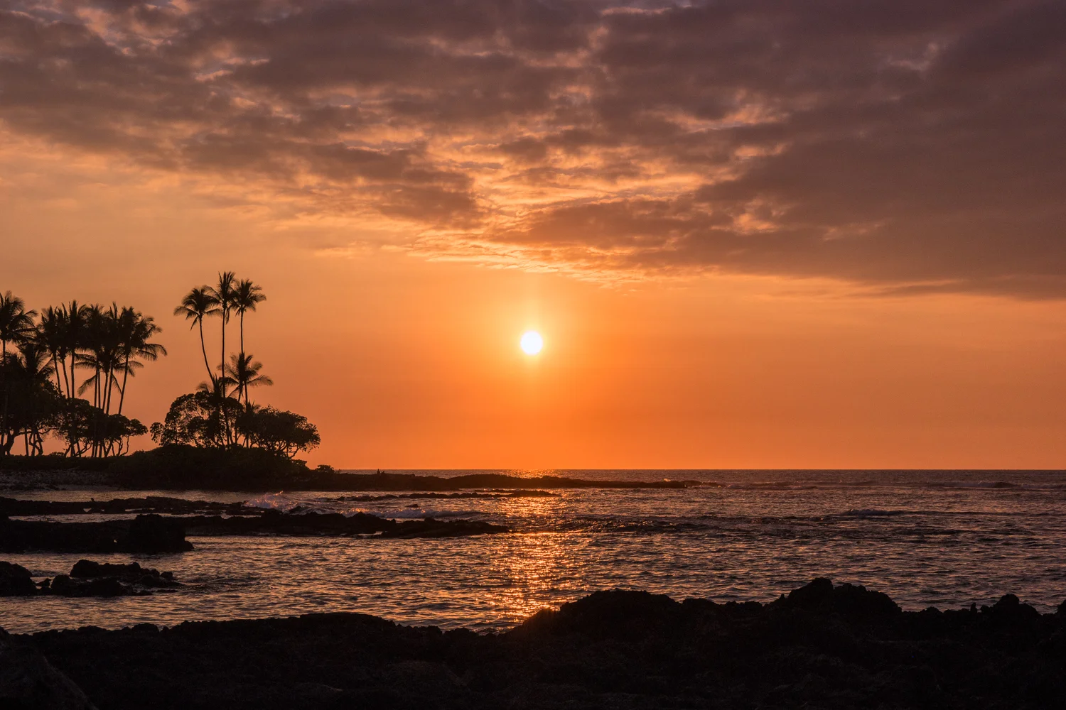 Wasim Muklashy Photography_Samsung NX500_16-50mm S_Hawaii_031415_ SAM_1497_1500px