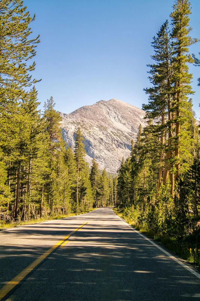 Wasim Of Nazareth Tuolumne Meadows Yosemite