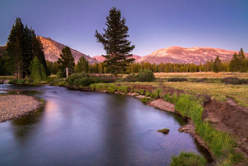 Wasim Of Nazareth Tuolumne Meadows Yosemite