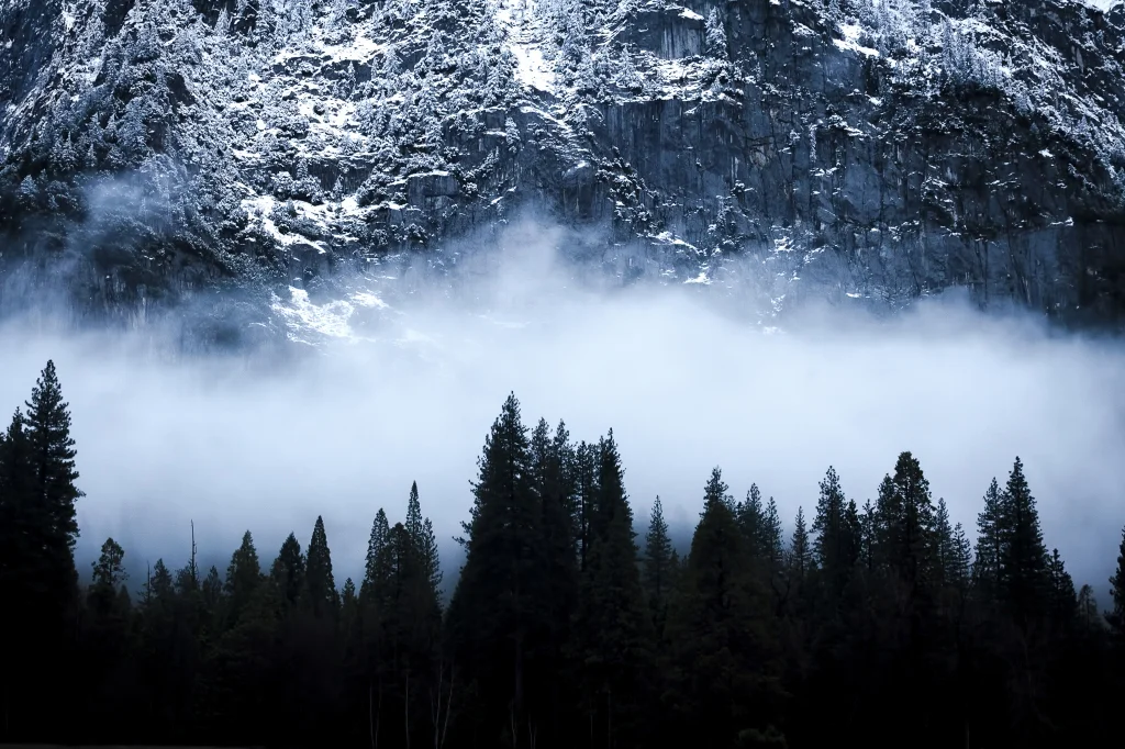 Wasim Muklashy Photography_Yosemite Layer Cake_Photo LA 2014_ASMP