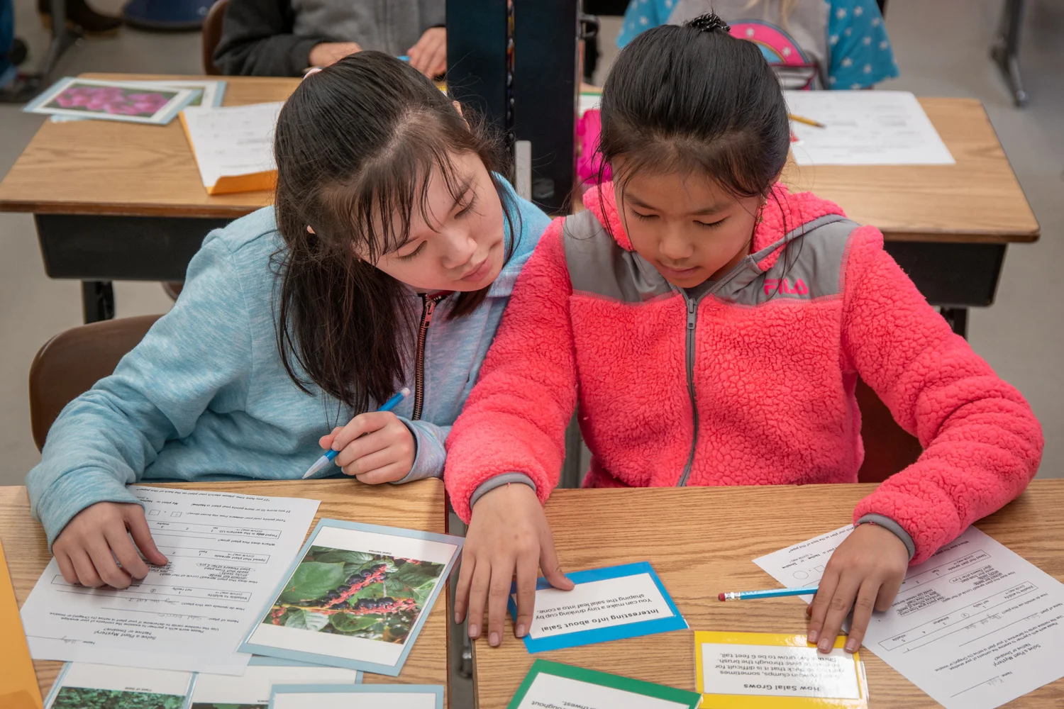 Wasim2BMuklashy2BPhotography Ecology2Bin2BClassrooms2Band2BOutdoors ECO Curriculum2BKits Portland Oregon