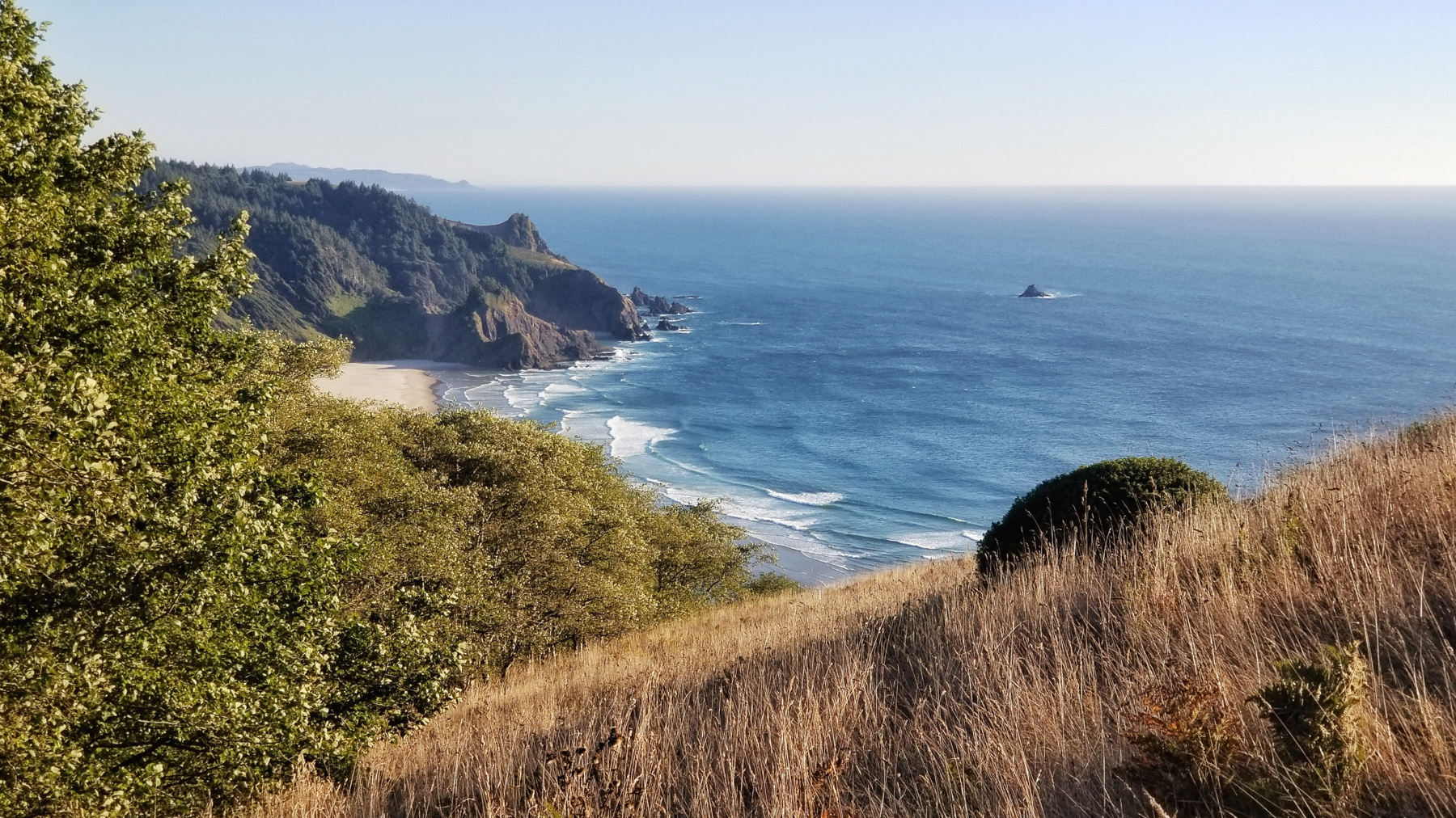 The Meeting of Life – A Weekend at the SITKA Center for Arts & Ecology