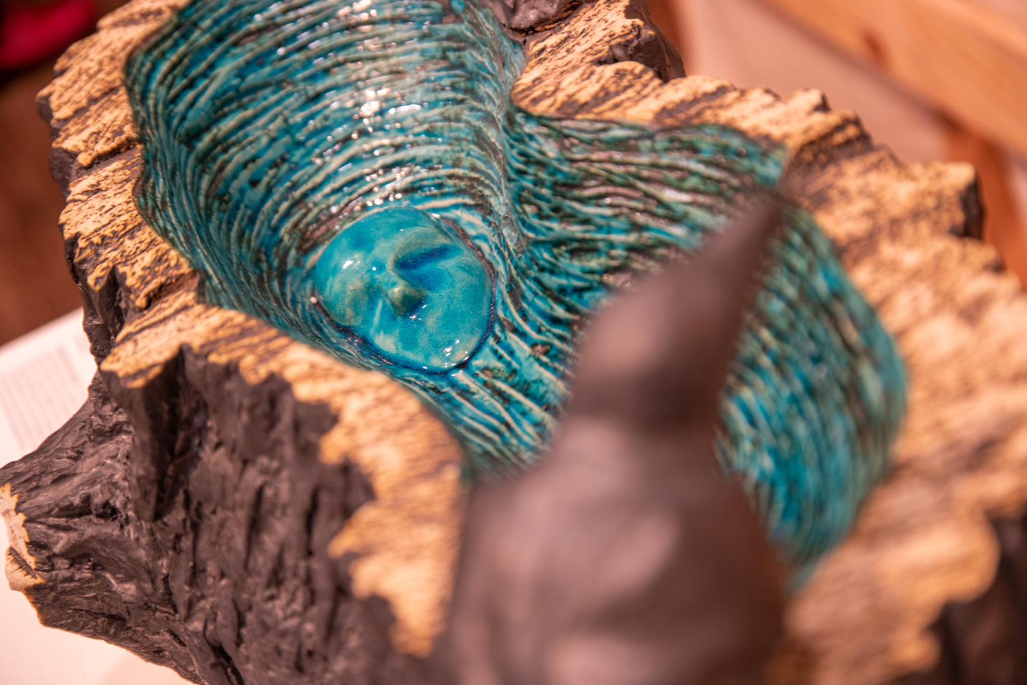 The Meeting of Life – A Weekend at the SITKA Center for Arts & Ecology