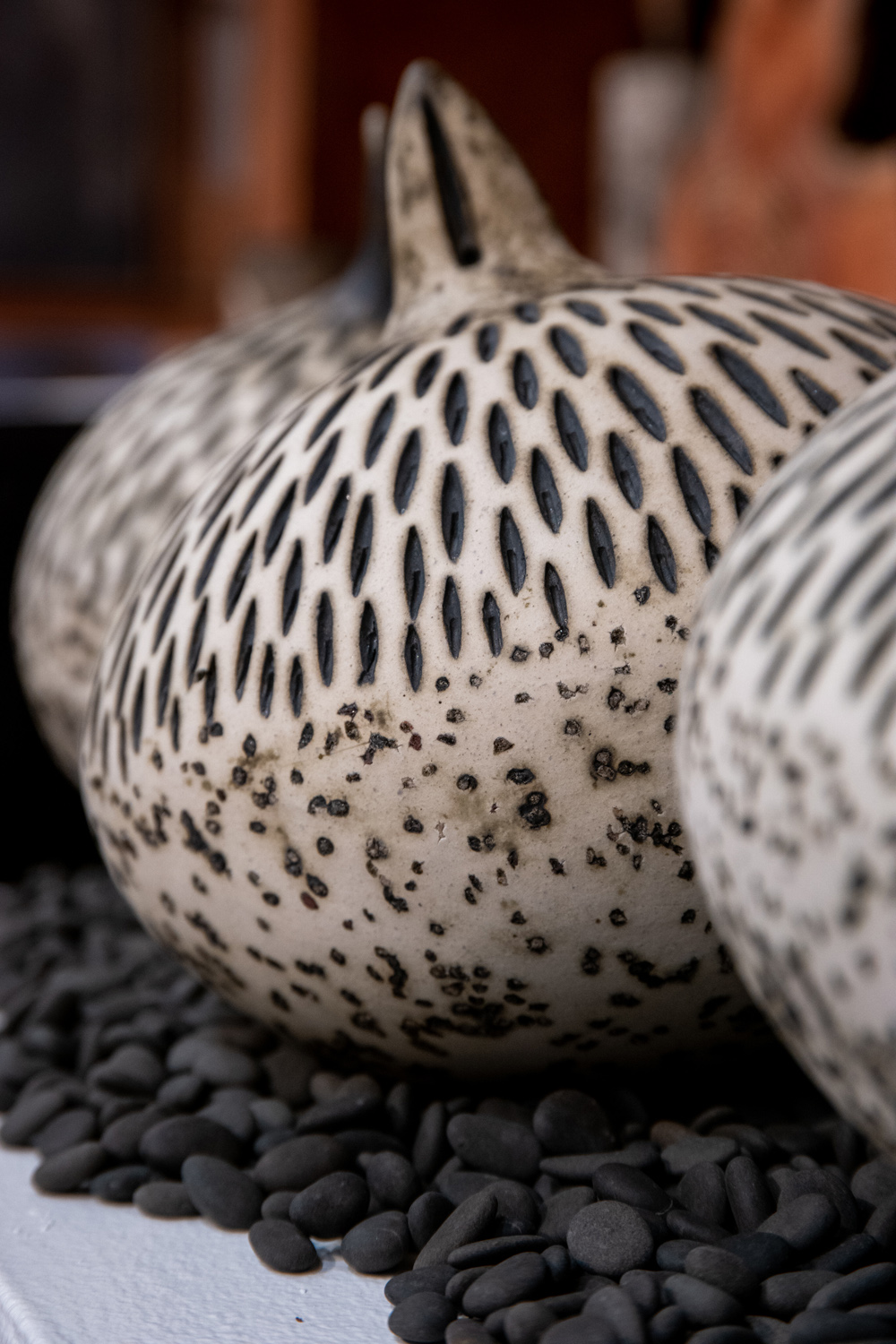 The Meeting of Life – A Weekend at the SITKA Center for Arts & Ecology