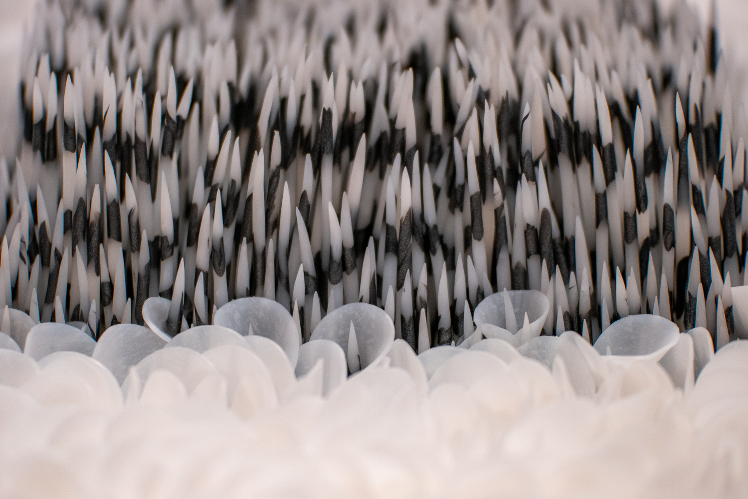The Meeting of Life – A Weekend at the SITKA Center for Arts & Ecology