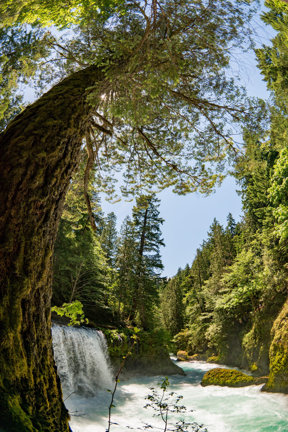 A Few Choice Moments From My First Few Months In The Pacific Northwest
