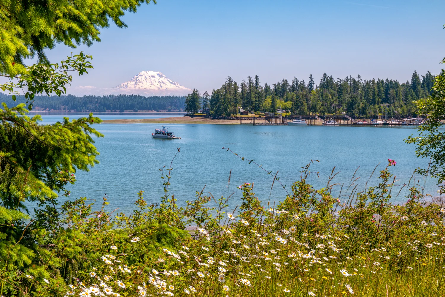I Just Went Through My THIRD Spring in the Pacific Northwest? Three!?? Wuh!? When? How!??