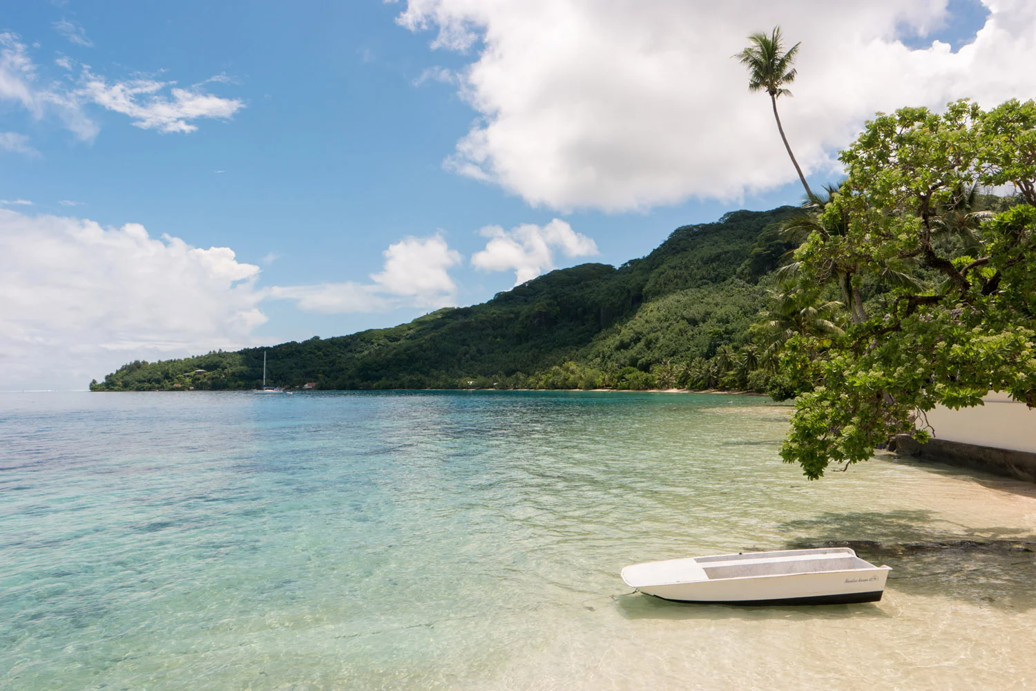 Project Beyond My Expectations. Shooting Virtual Reality For The First Time. In Tahiti!