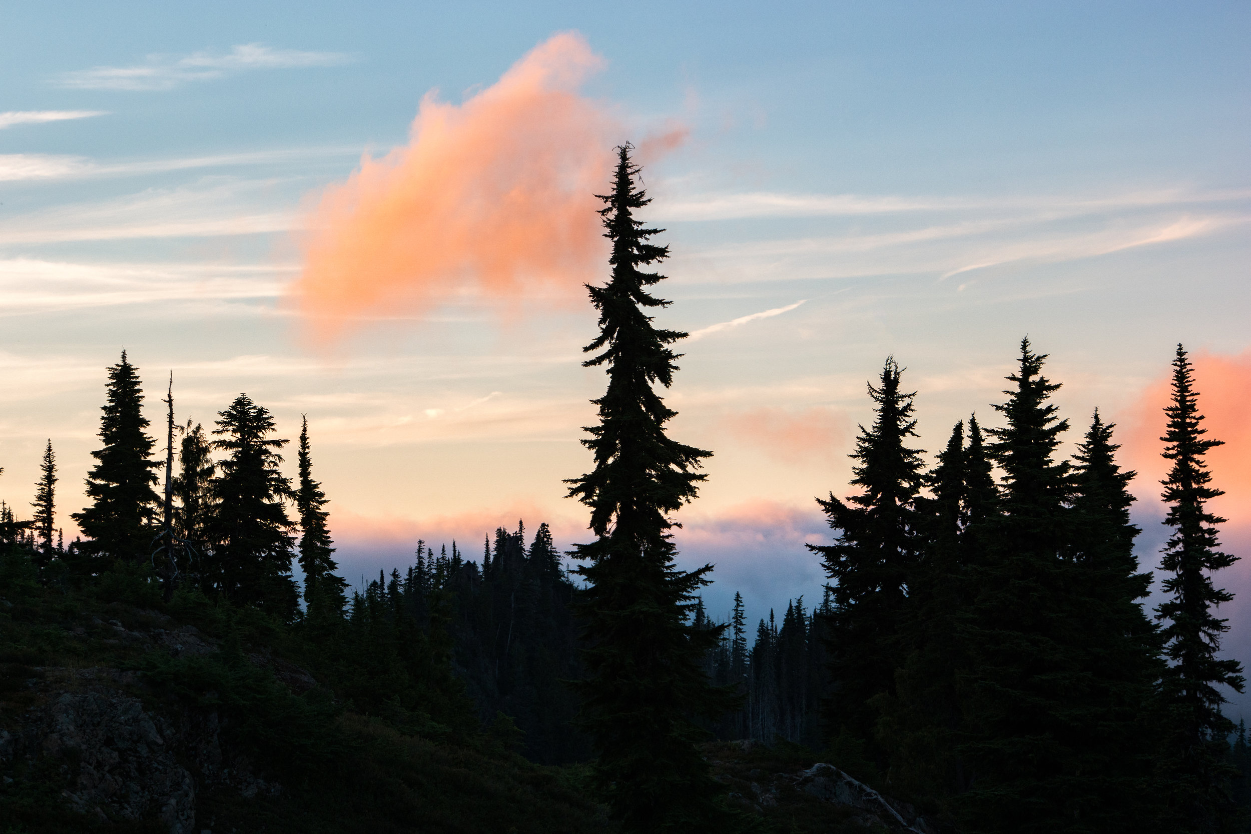 My Olympic National Park Zen (And Some Not So Zen) Moments – Backpacking the High Divide Loop
