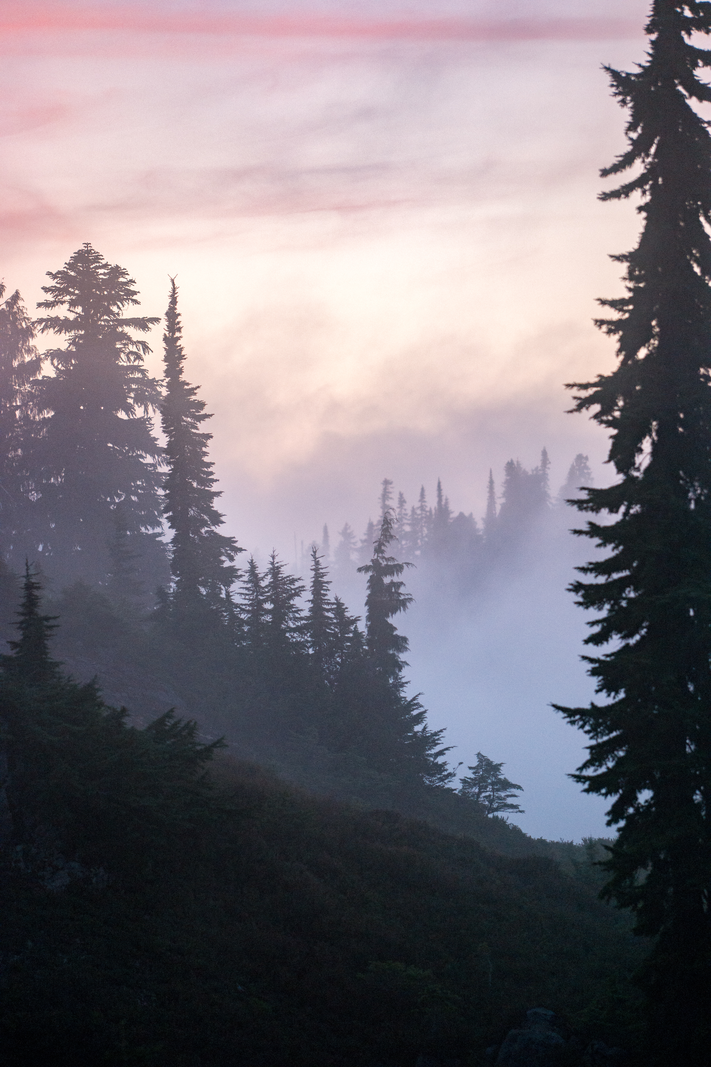 My Olympic National Park Zen (And Some Not So Zen) Moments – Backpacking the High Divide Loop