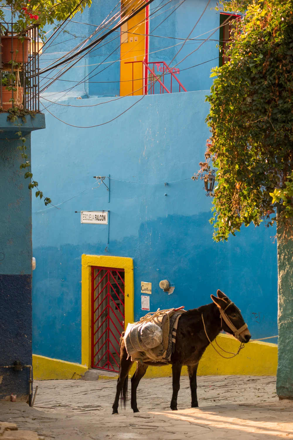 Guanajuato – Millions of Gallons of Happy