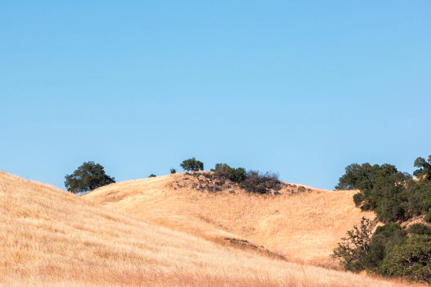 Malibu Creek State Park California Samsung NX1 1800px