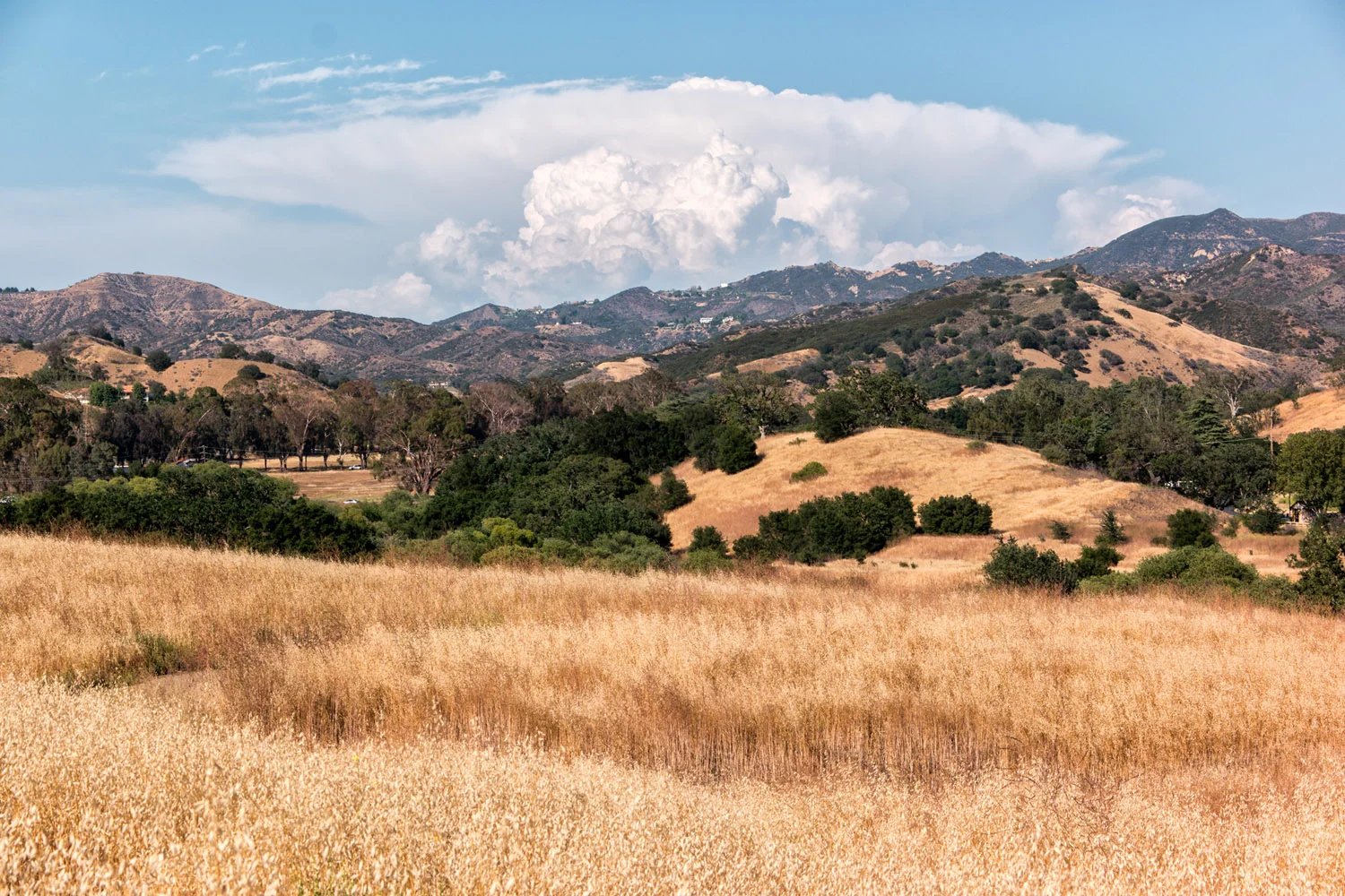 Malibu Creek State Park California Samsung NX1 1800px
