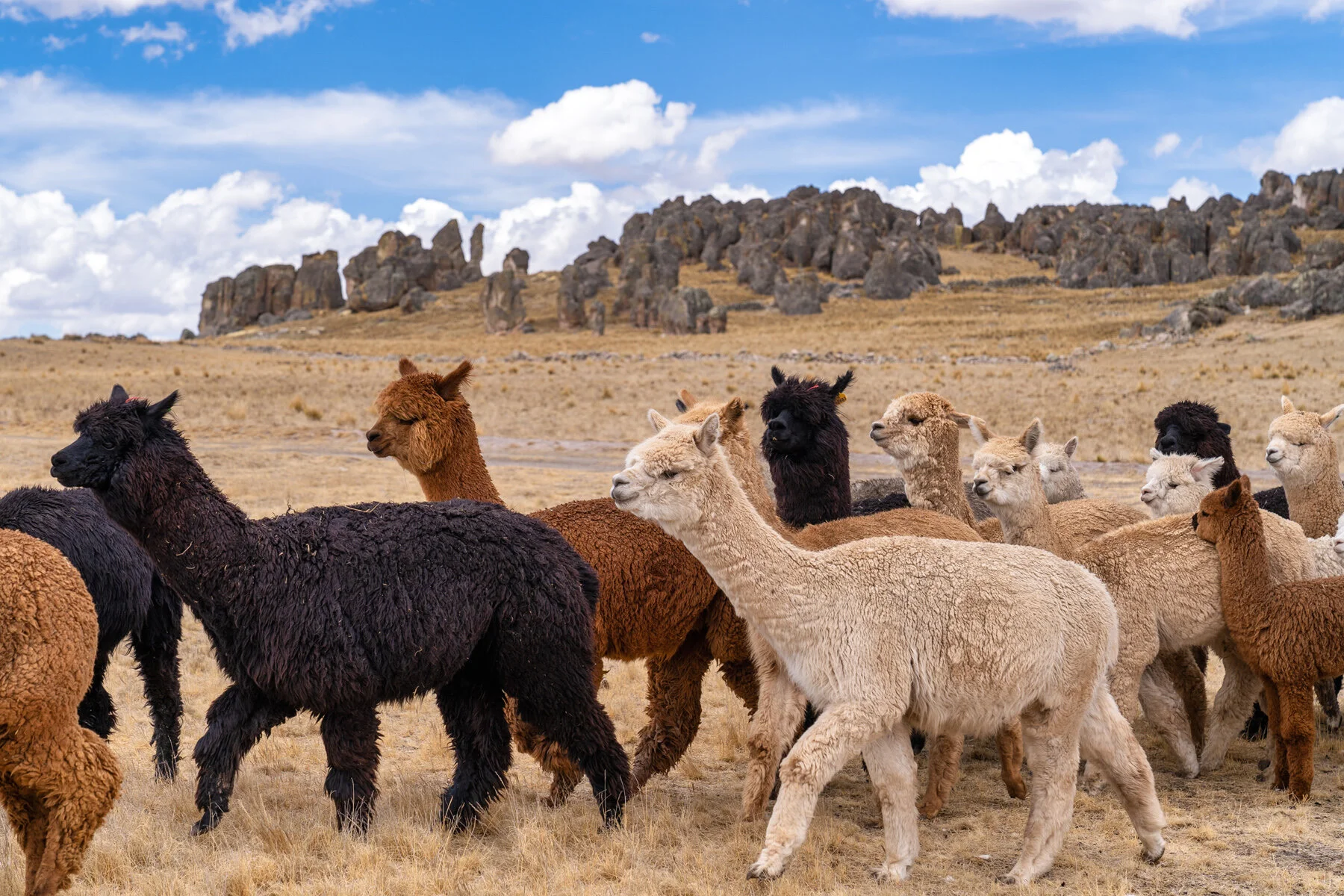 Andes Mountains Peru Quechua Benefit Picotani Spar Macusani Alpaca