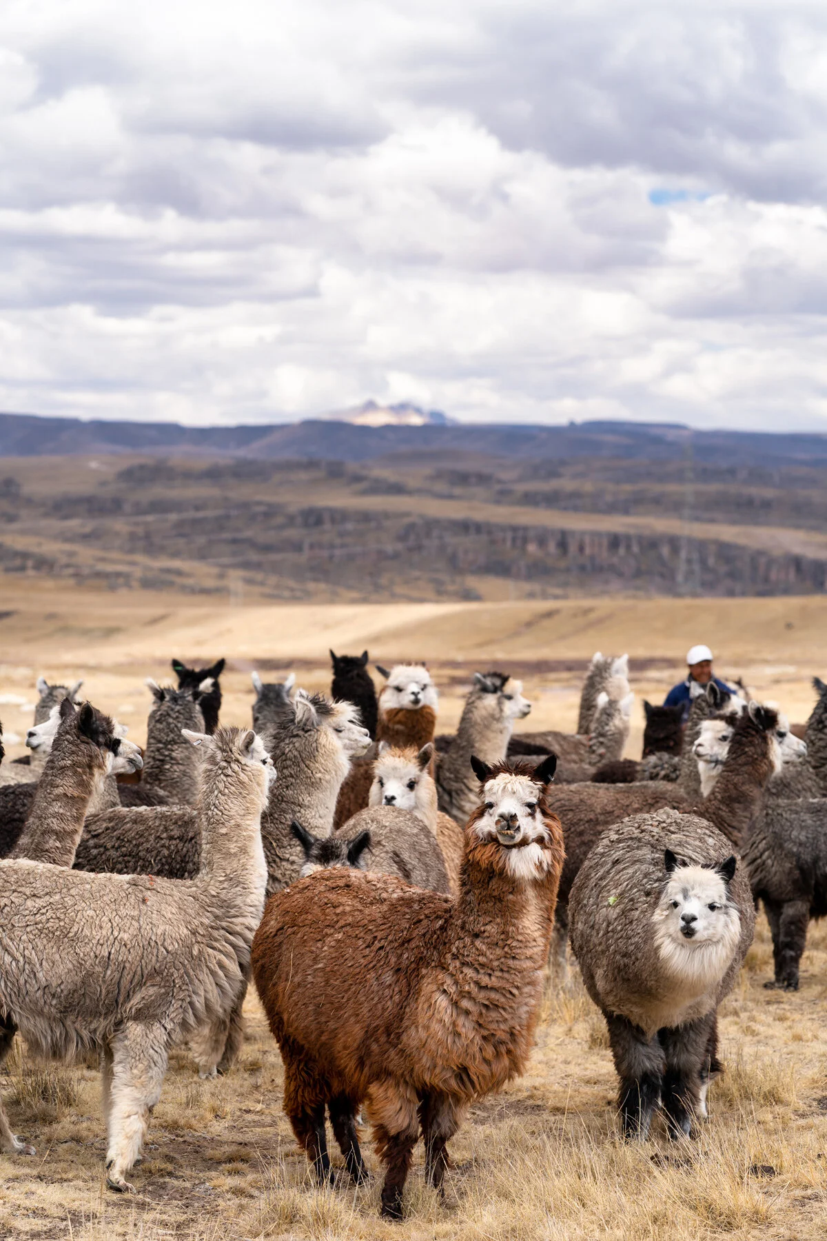 Andes Mountains Peru Quechua Benefit Picotani Spar Macusani Alpaca