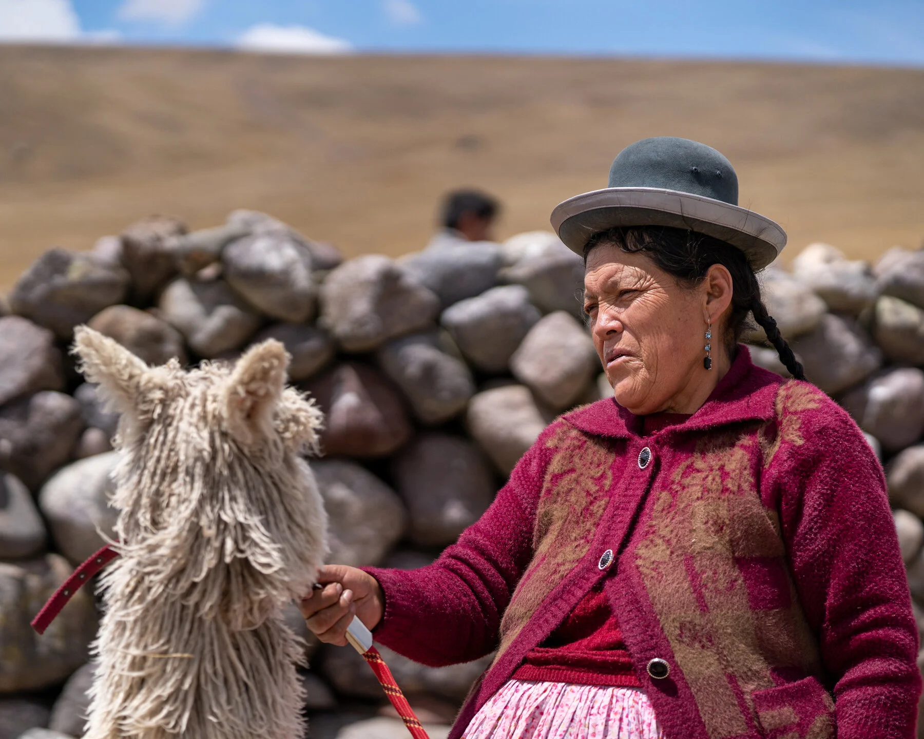 Andes Mountains Peru Quechua Benefit Picotani Spar Macusani Alpaca