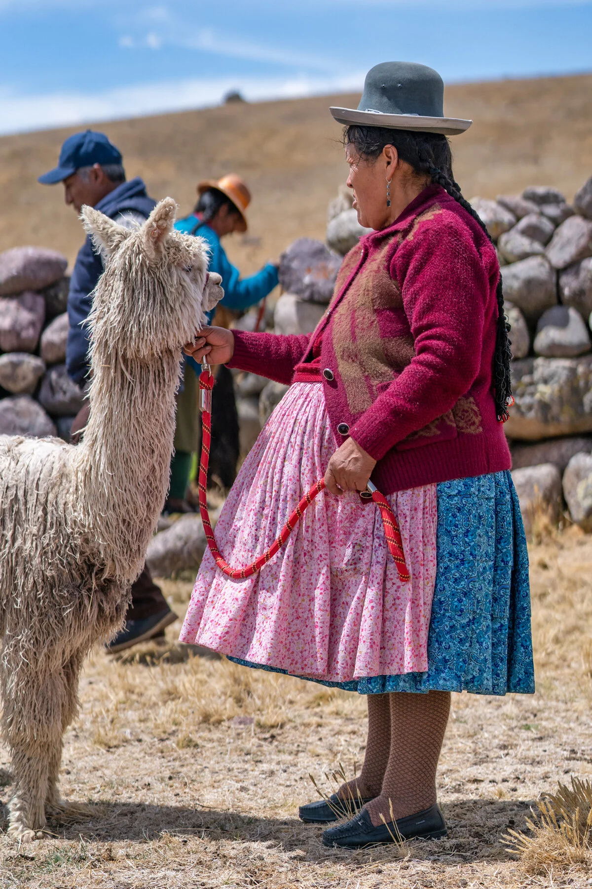 Andes Mountains Peru Quechua Benefit Picotani Spar Macusani Alpaca