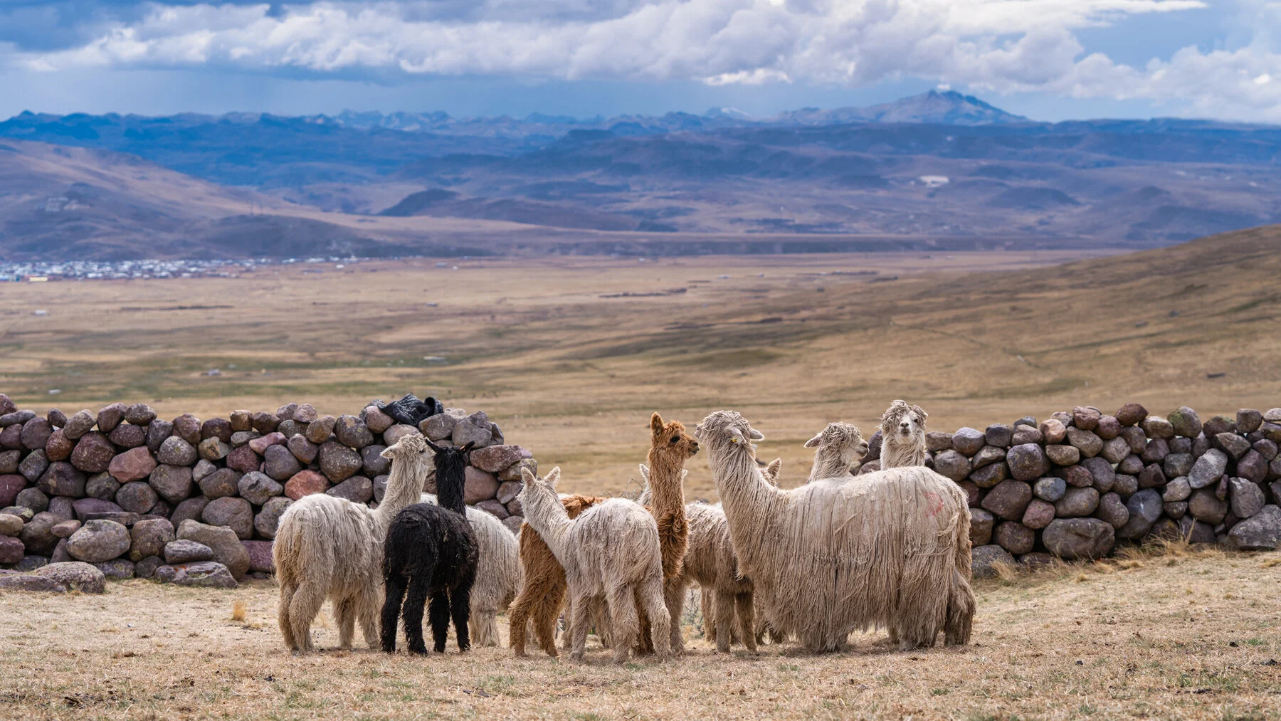 Andes Mountains Peru Quechua Benefit Picotani Spar Macusani Alpaca