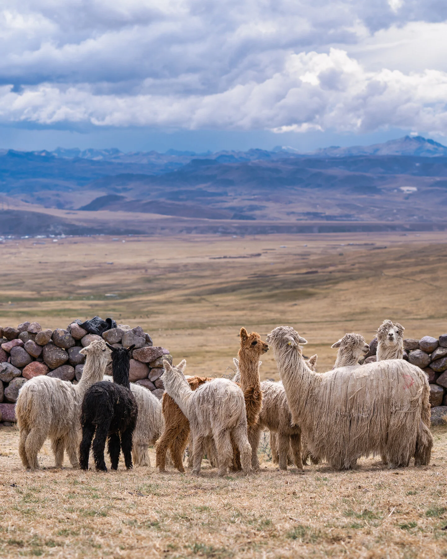 Andes Mountains Peru Quechua Benefit Picotani Spar Macusani Alpaca