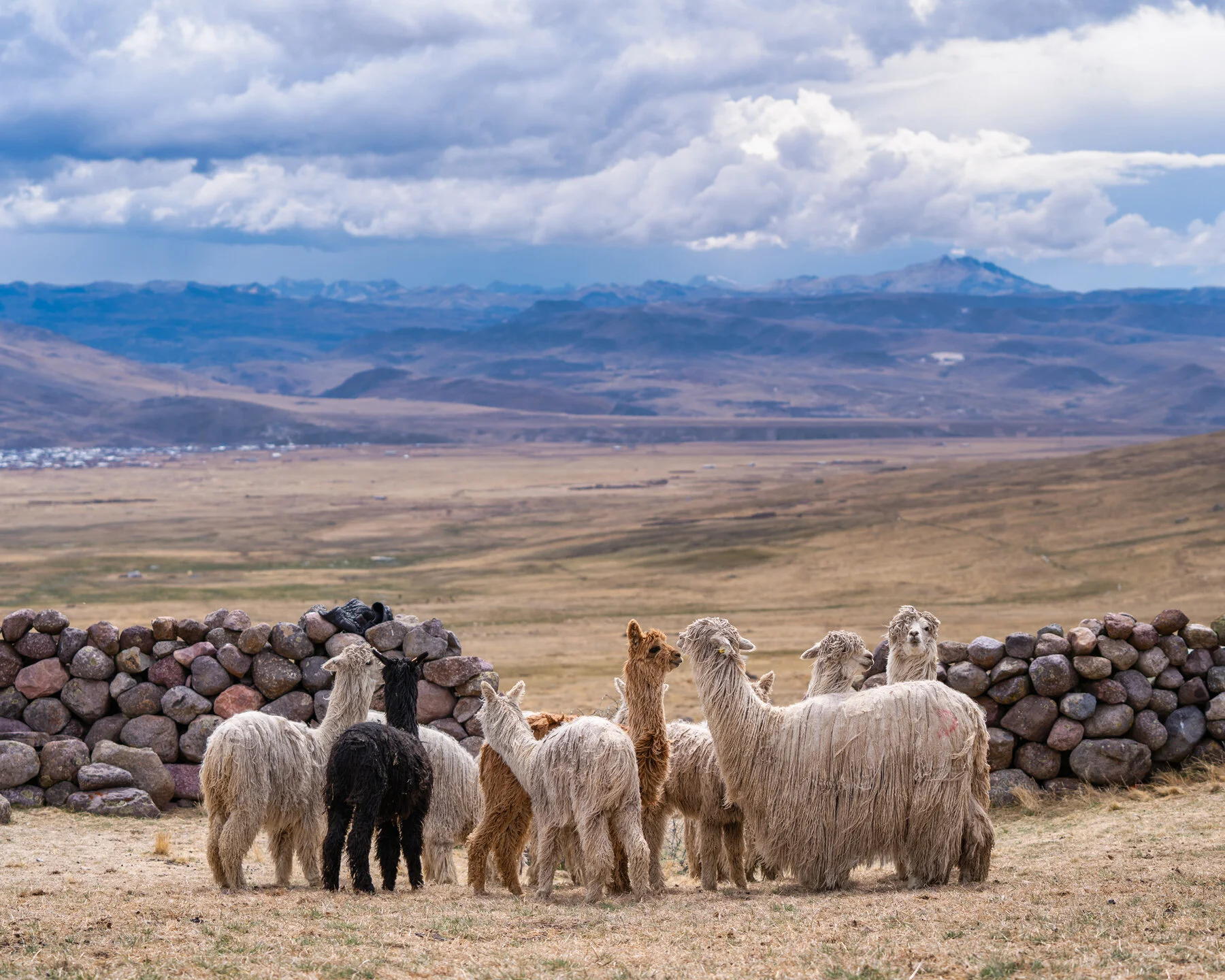 Andes Mountains Peru Quechua Benefit Picotani Spar Macusani Alpaca