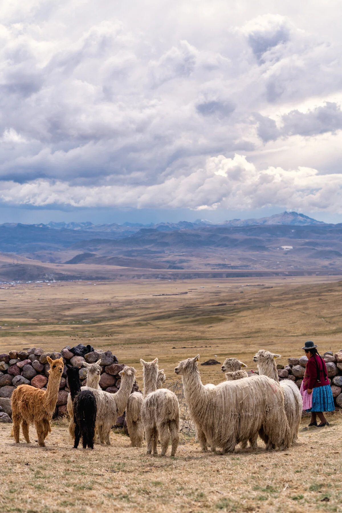 Andes Mountains Peru Quechua Benefit Picotani Spar Macusani Alpaca