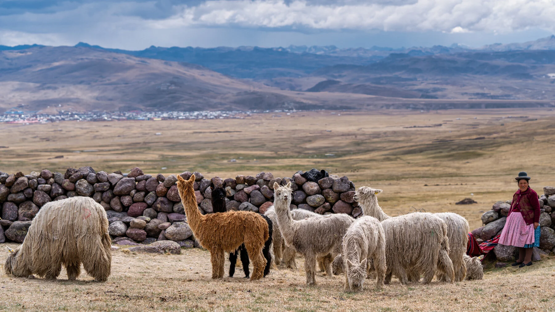 Andes Mountains Peru Quechua Benefit Picotani Spar Macusani Alpaca