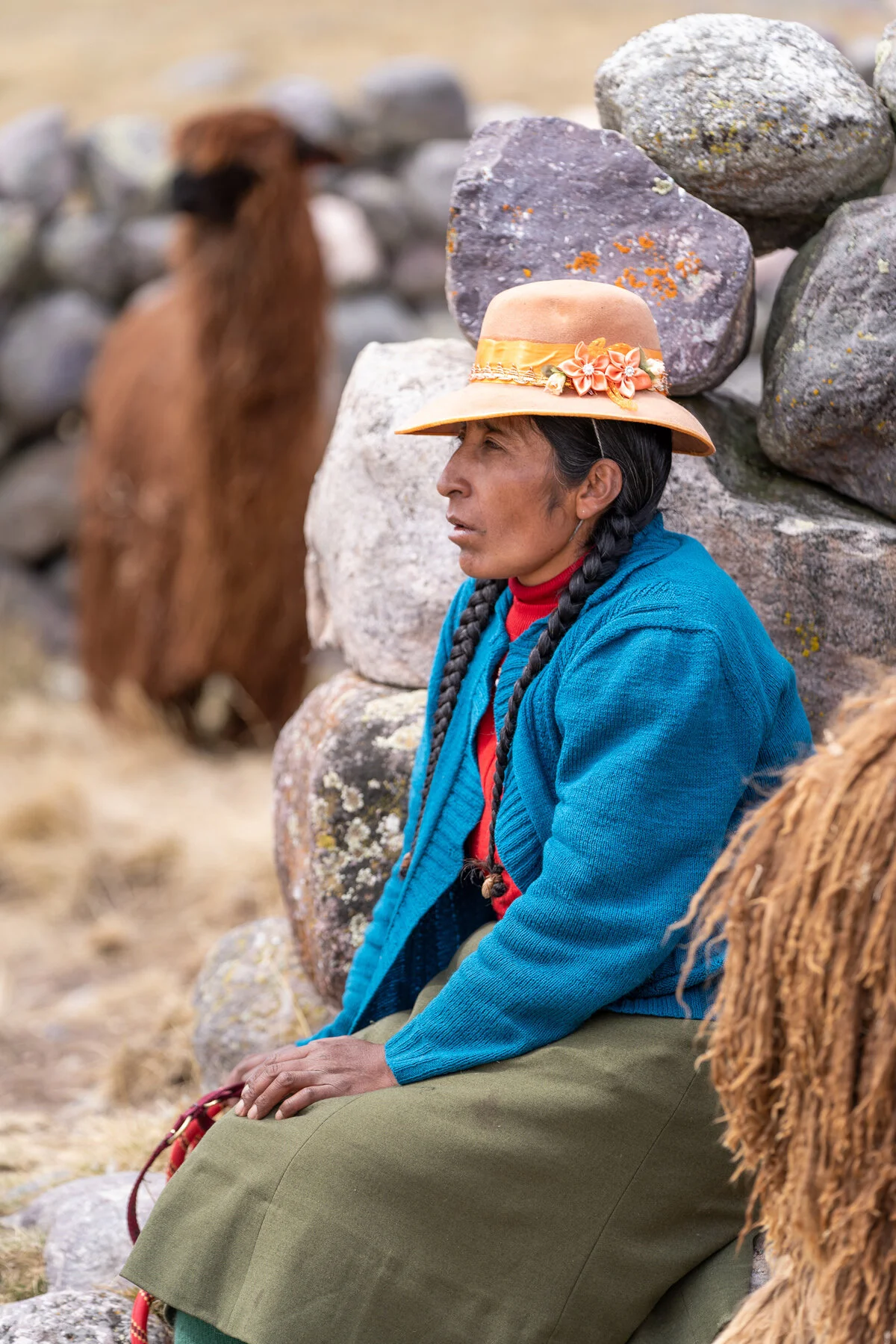 Andes Mountains Peru Quechua Benefit Picotani Spar Macusani Alpaca