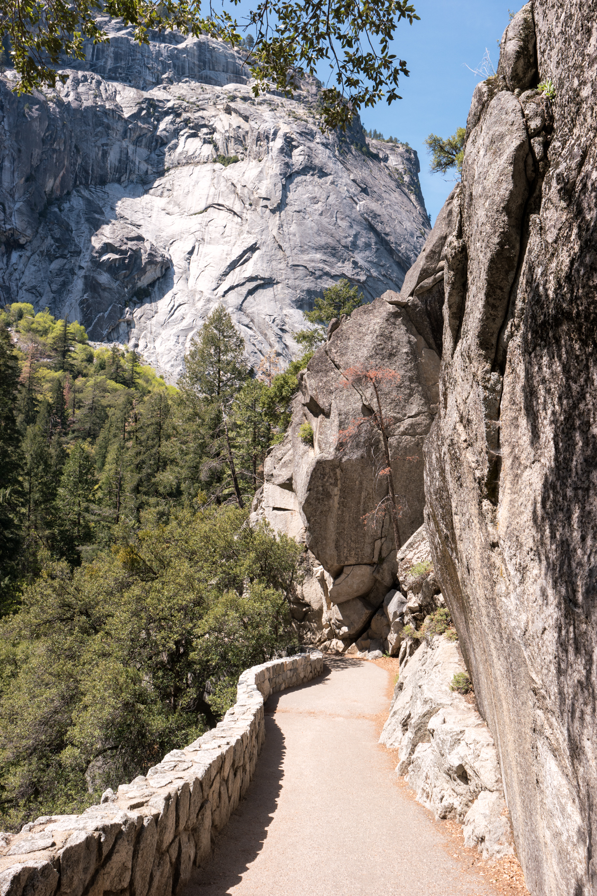 April2015 Yosemite California Samsung NX1 1800px