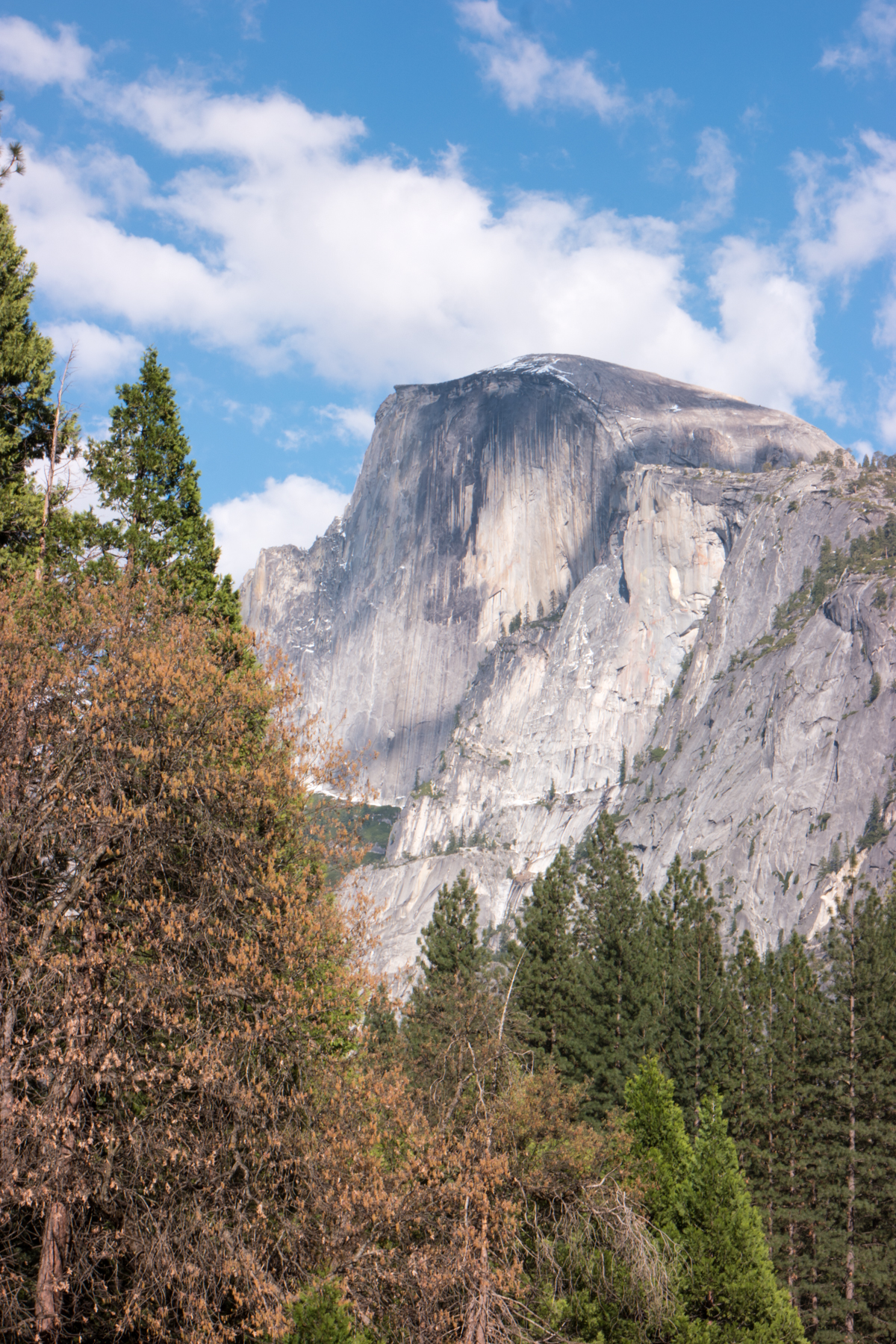 April2015 Yosemite California Samsung NX1 1800px