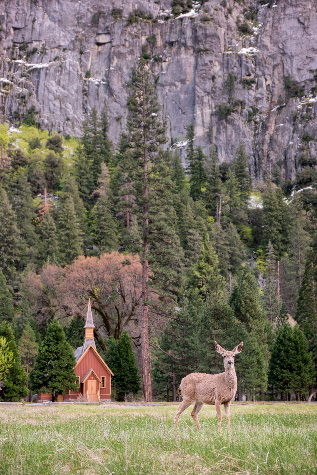 April2015 Yosemite California Samsung NX1 1800px