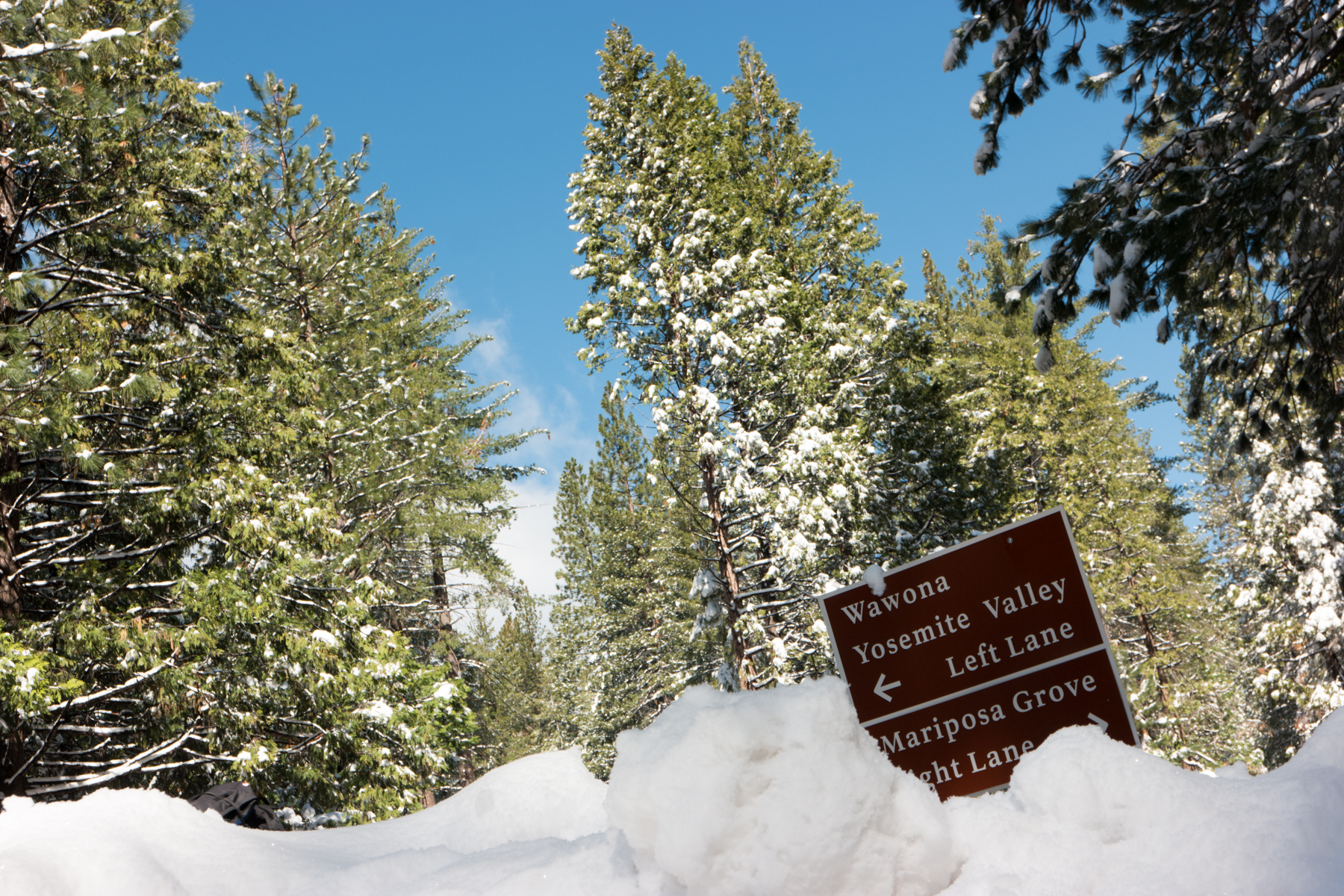 April2015 Yosemite California Samsung NX500 1800px