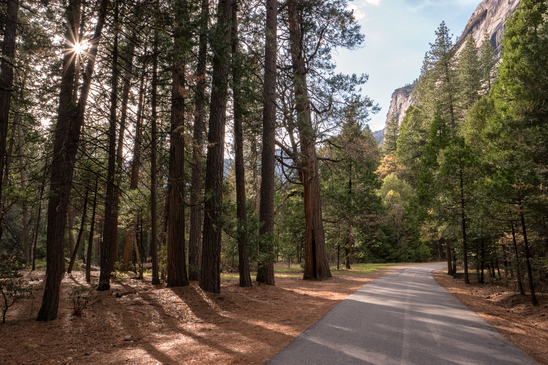 April2015 Yosemite California Samsung NX500 1800px