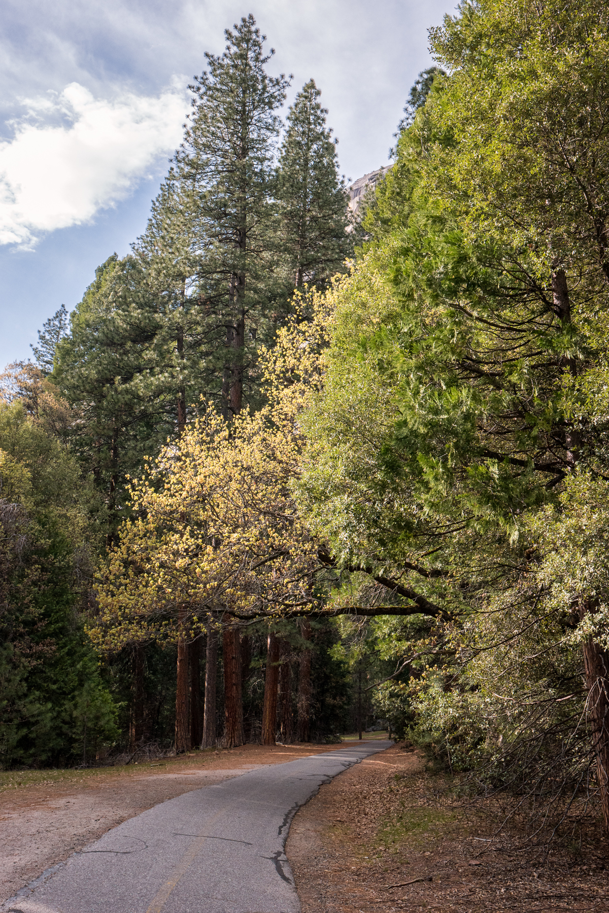 April2015 Yosemite California Samsung NX500 1800px